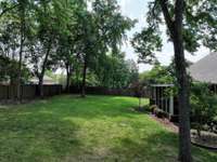 BACK YARD