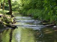 Peaceful and Serene