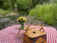 Picnic in a lovely setting