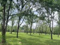 Flat meadow is in the rear of the property and would be a great place to build a private retreat