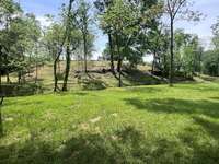 This view is from the meadow showing the bluff