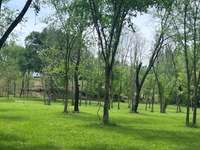 Meadow was meticulously cleared leaving trees to add to the beauty