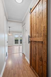 Custom barn door!