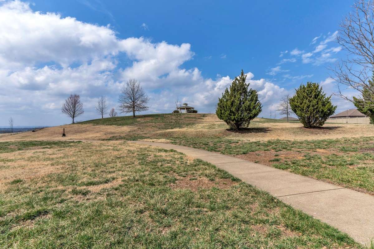 Take a hike up the hill to the Pavilion and see Nashville!
