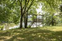 Tree stand for birdwatching!