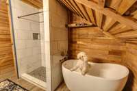 Includes free standing tub/ dog not included.