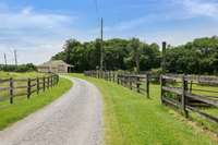 property line at fence; barn in background not included in 10 acres but can be available with extra acreage.