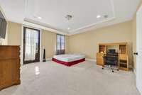 Primary Bedroom with trey ceiling.