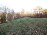 The abundance of trees surround the home but open spaces for gardening, camping