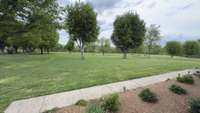 Front Yard View