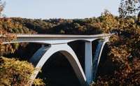 Natchez Trace Parkway is located approximately 25 minutes from Adam's Preserve. This national scenic byway winds through the rolling hills of Williamson County and offers nature enthusiasts many choices for site seeing, hiking or bird watching.