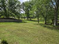 Level Back Yard
