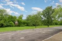 Green space for dog walking and outdoor activities