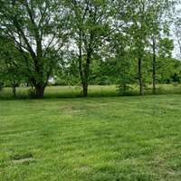 Open field next door