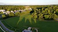 Dog Park