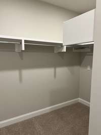 Trim built shelving in closet.