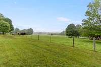 View from the back porch! Quiet and serene.