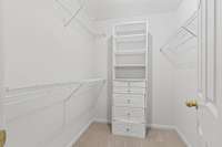 Master Bedroom closet with great Shelving and Center drawers.
