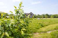From 2021-2025 the area has been maintained as a prairie, where it is bush hogged twice a year. It has been planted and seeded extensively with common milkweed, pink & red bergamot, mountain mint, foxgloves, goldenrod, asters, coneflowers and more.