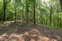 The property is filled with mature trees, multiple springs and even a waterfall waiting to be discovered.