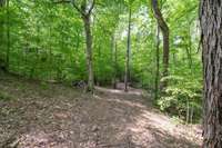 Trails to walk, ride horses or trail bike onto the Natchez Trace from your own back yard.