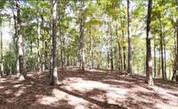 This property could be your own private paradise!