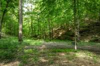 Your own paradise -