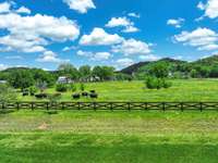 Beautiful view from the back porch of the farm and low maintenance four legged neighbors.