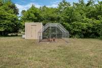 Chicken Coop