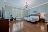 Main floor primary bedroom easily fits a king size bed with room to spare.