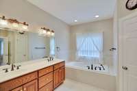 You can appreciate the double vanities. That is a whirlpool tub and a walk in closet to the right.