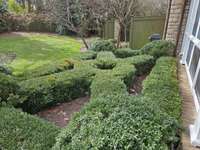 Boxwood hedges form a graphic design