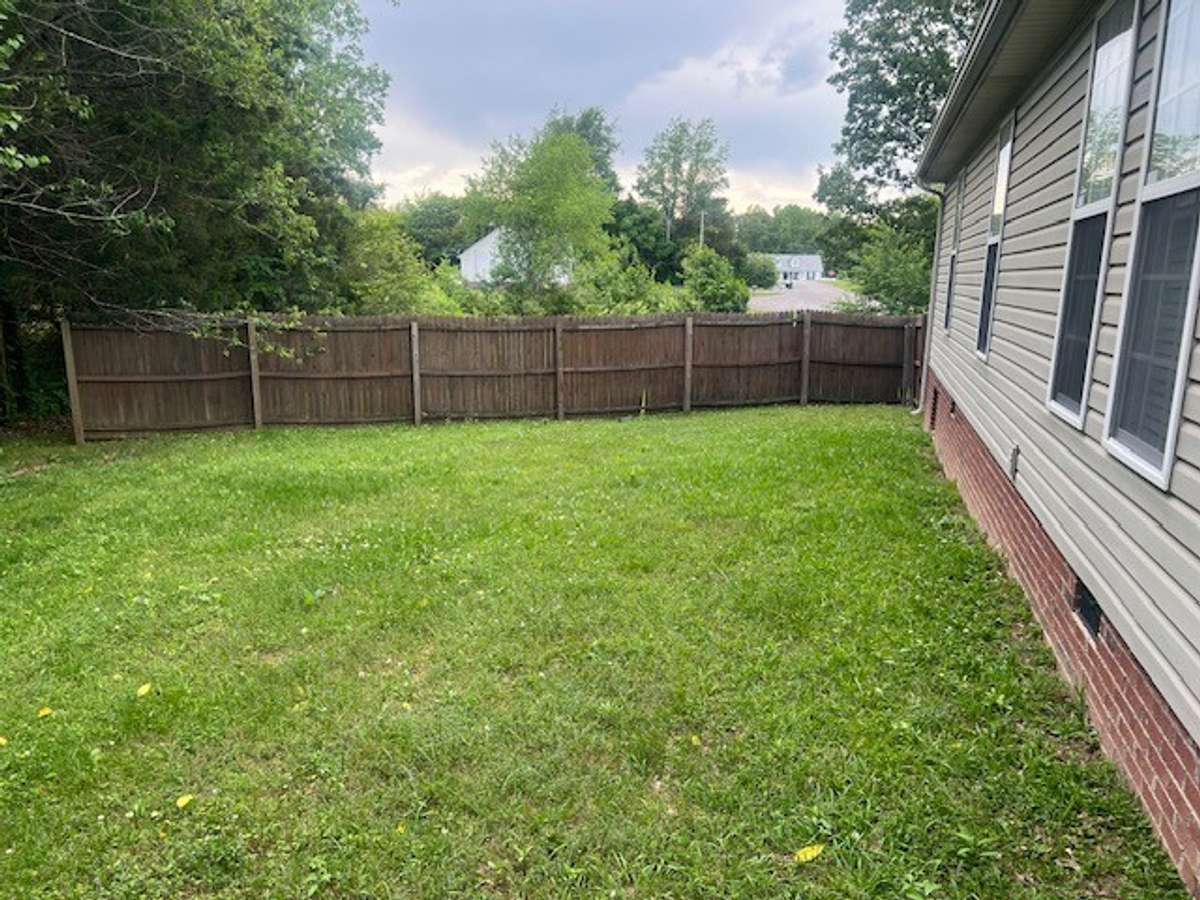 Backyard