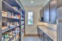 Pantry w/plenty of cabinet space. Microwave & refrigerator remain.