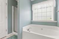 Additional View of primary bath