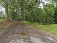 Beautiful long drive from highway with lots of woods for privacy and buffer
