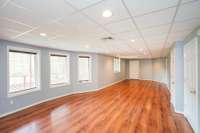 Bonus Room in basement