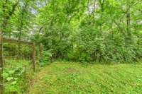 Left side has a wire fence.  Property line in back is treed adding privacy.