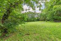 View of the back yard.