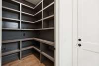Large walk-in pantry with custom shelving