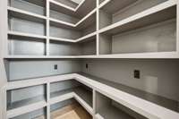Huge walk-in pantry with custom built-in shelving