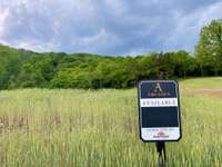 Beautiful PRIVATE 1/2 Acre Backing to Acres of Open Space!