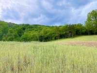 Enjoy this peaceful serene setting on THIS private homesite!