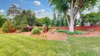 This back yard!