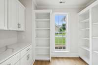 Walk in pantry with cabinetry and shelving galore!