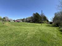 Spacious backyard, part of the 1.85 acres.