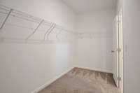 Generous Walk-In Closet