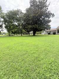 Love the Green Grass!