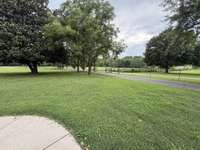 Paved driveway is lined with mature trees;