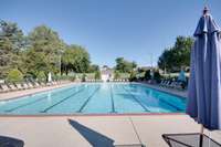 View of neighborhood Junior Olympic pool.  Neighborhood has it's own youth swim team, the Willoughby Waves